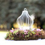 brad_elisa_16